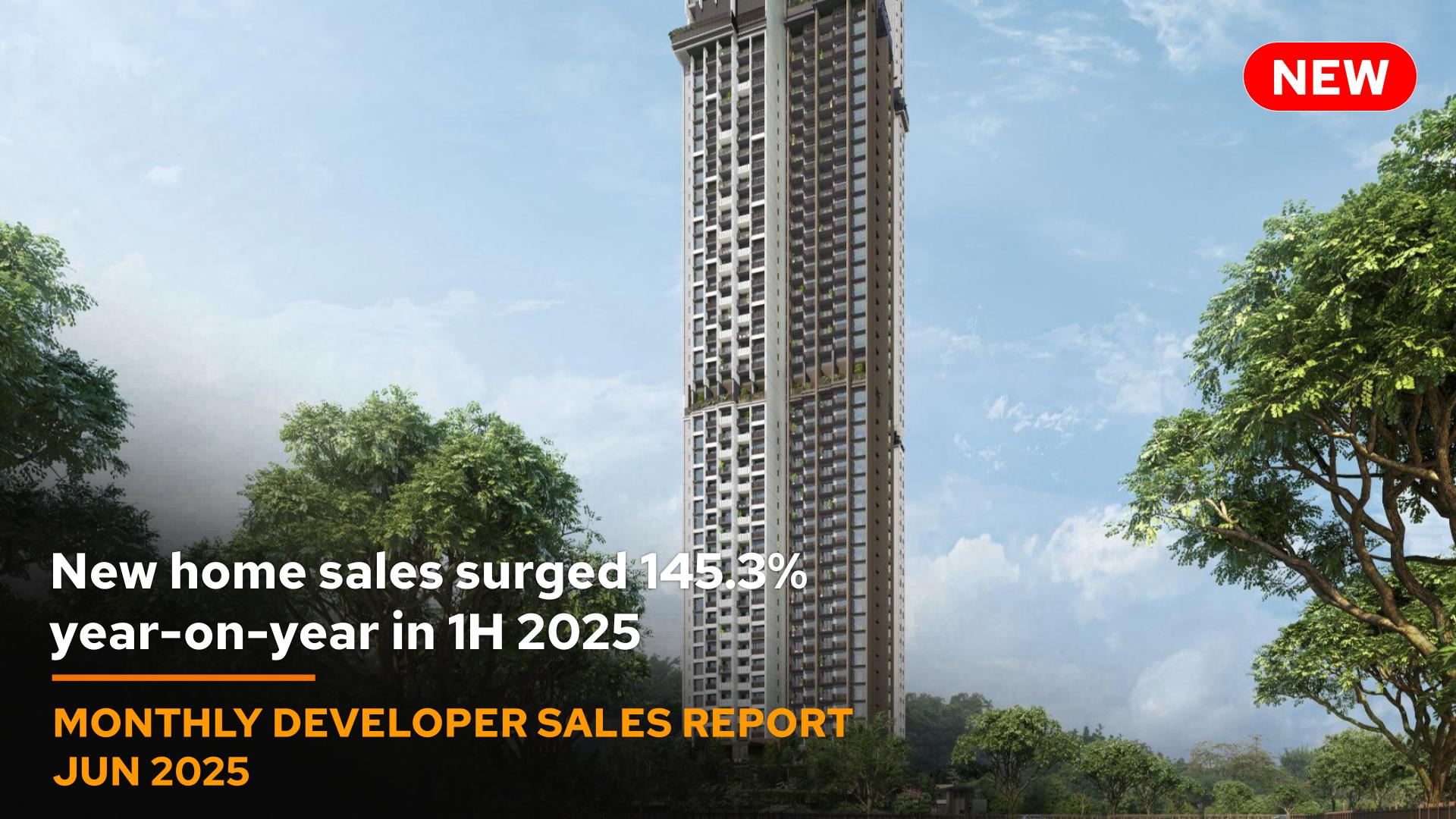 Monthly Developer Sales June 2025